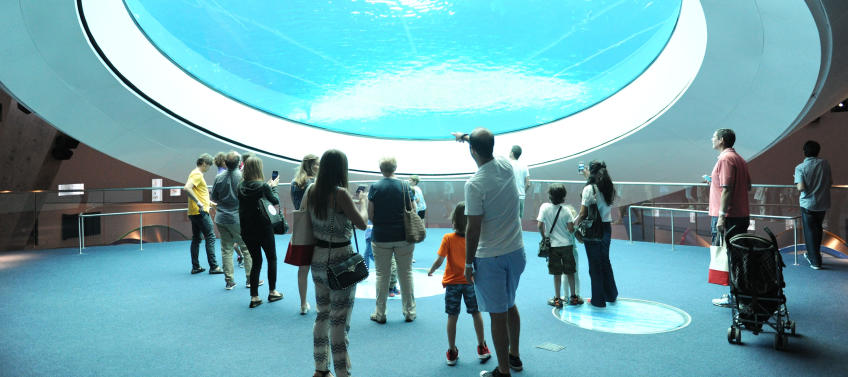 New Science Museum Miami >> A Kid Friendly Guide To Miami S New Frost Museum Of Science Mommy New Science Museum Miami >> A Kid Friendly Guide To Miami S New Frost Museum Of Science Mommy