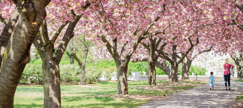 35 Best Things To Do In Nyc This Spring With Kids Mommy Nearest