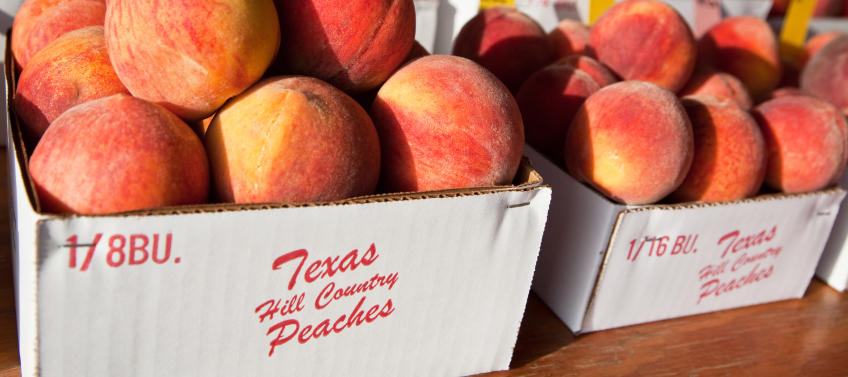 Peaches  Things to do in Fredericksburg, Texas