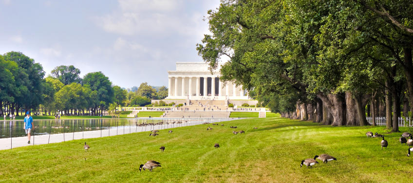 lead image for 8 Presidential History Outings for Families in D.C.