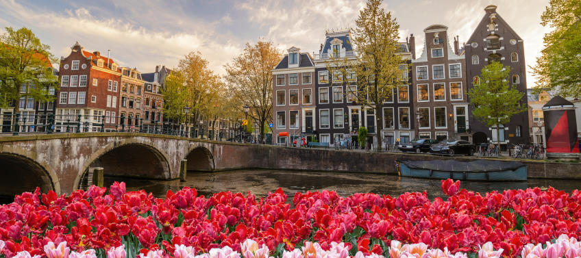 10 Reasons to Visit Amsterdam with Kids - Mommy Nearest