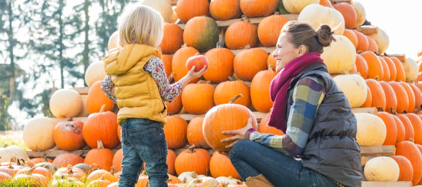 pumpkin patch west los angeles