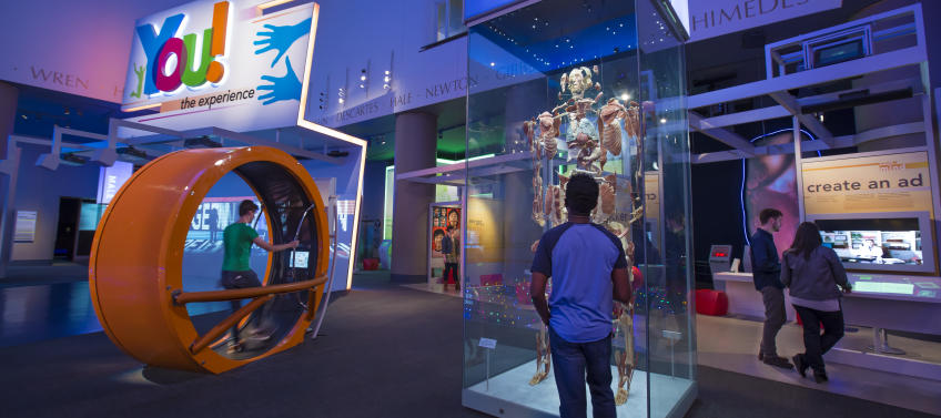 30 Best Museums For Kids In Chicago Mommy Nearest