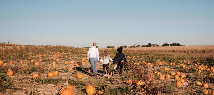 lead image for 8 Best Pumpkin Patches for Philadelphia Families