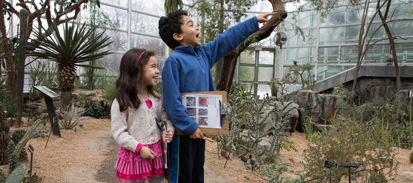 30 Fun Things To Do In Nyc Over Mid Winter Break Mommy Nearest