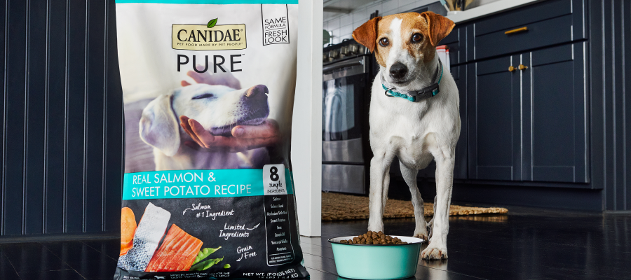 Canidae dog sales food ingredients