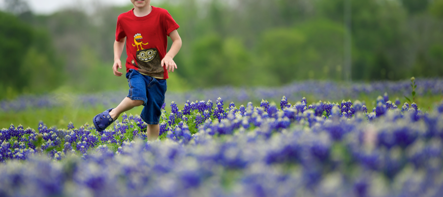 25 Best Things To Do In Houston This Spring Mommy Nearest