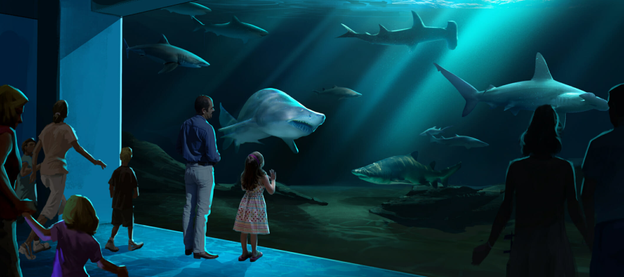 Your insider's guide to the Georgia Aquarium