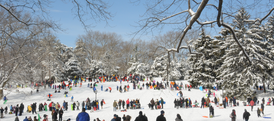 Yeti, Set, Snow! in Central Park