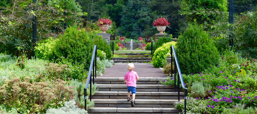 Best Things to Do at Morris Arboretum in Philadelphia - Mommy Nearest