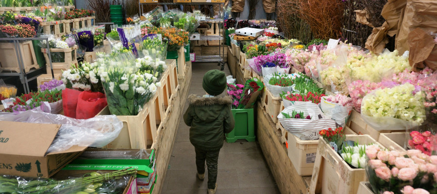 Family-Friendly Walking Tour of NYC's Flower District ...