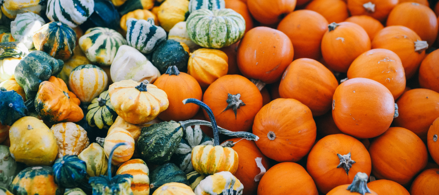 best pumpkin patches farms near chicago for families mommy nearest best pumpkin patches farms near