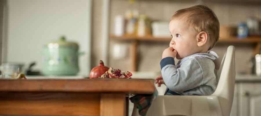 Is my baby eating too much solid foods? — Feed Eat Speak - Stacey