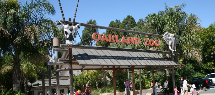 Oakland Zoo - The Oakland Athletics are here for their