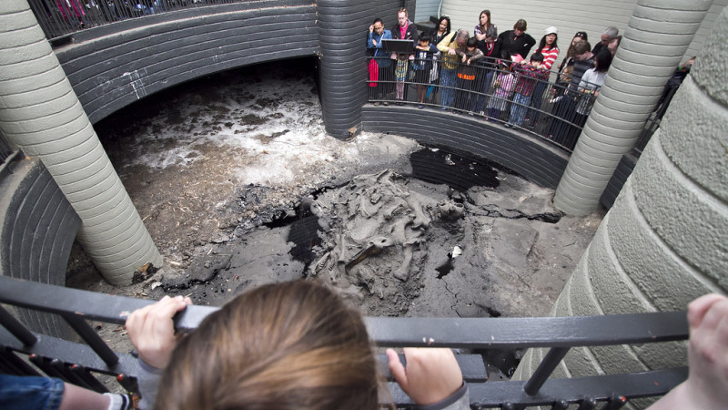 La Brea Tar Pits And Museum Los Angeles