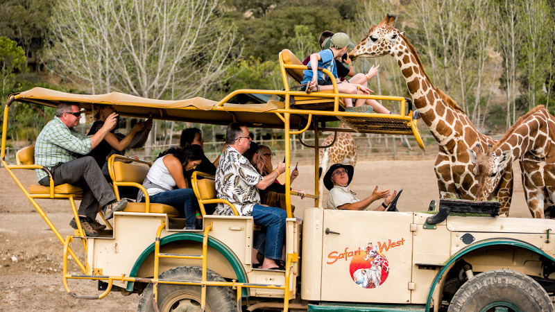 animal safari ride near me