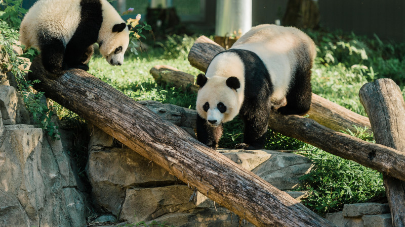 Animals and Zoos - View-Master – worldwideslides