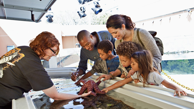 California Science Center's Ecosystems Gallery