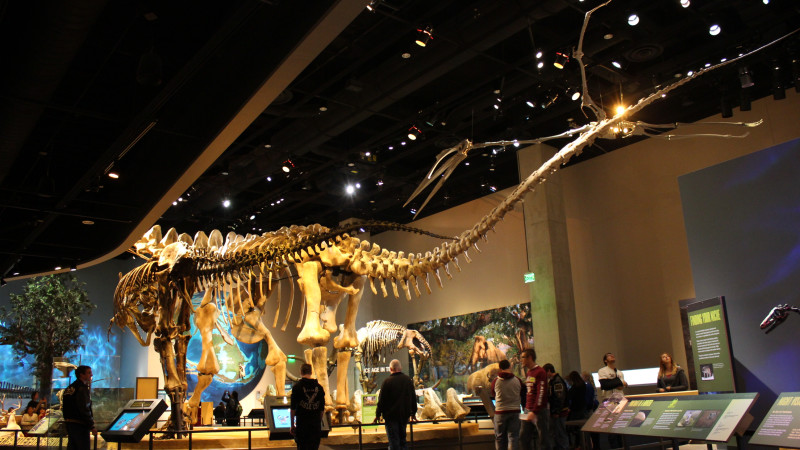 All the things you should know about the Perot Museum of Nature and Science  before you go, Things To Do