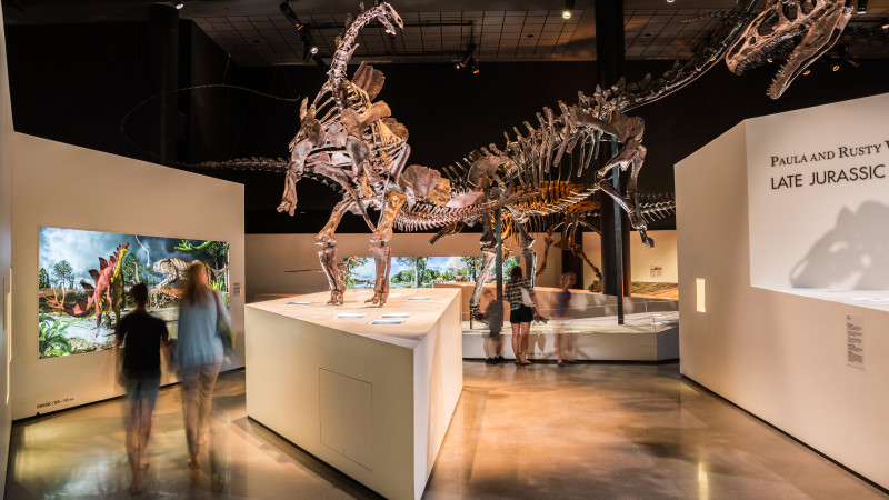 15 Best Attractions for Families in Houston - Mommy Nearest