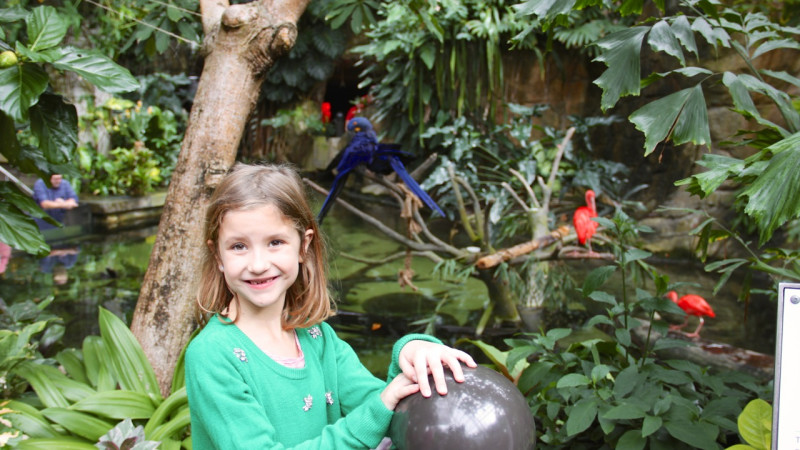 Guide To Visitng Moody Gardens In Galveston Texas With Kids