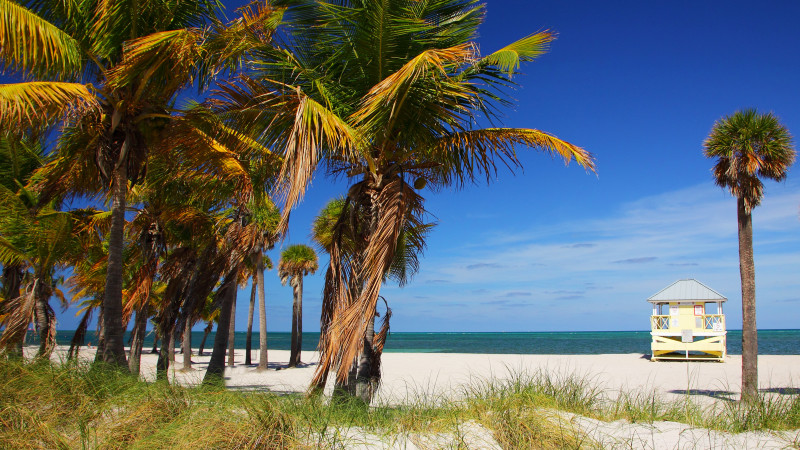 Crandon Park Beach in Key Biscayne Miami