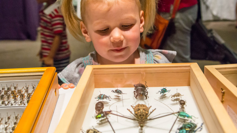 5 Great Museums For Families In