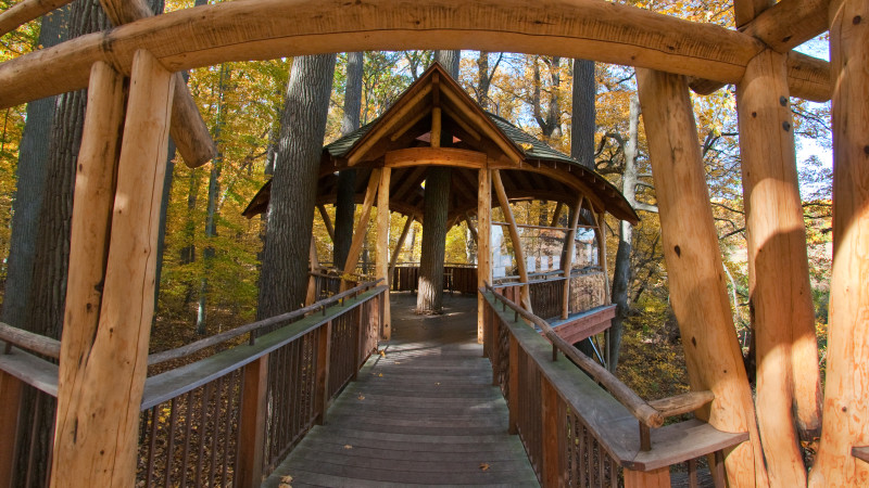 5 Places Kids Can Explore Tree Houses In Philadelphia Mommy Nearest