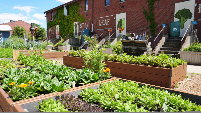 7 Urban Farms to Explore in New York City - Mommy Nearest