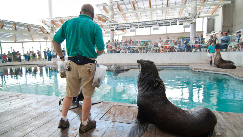 10 Best Aquariums for Kids in the United States - Mommy Nearest