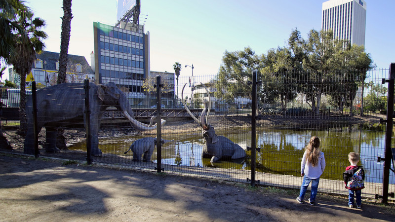 Observation Areas  Rancho La Brea Tar Pits