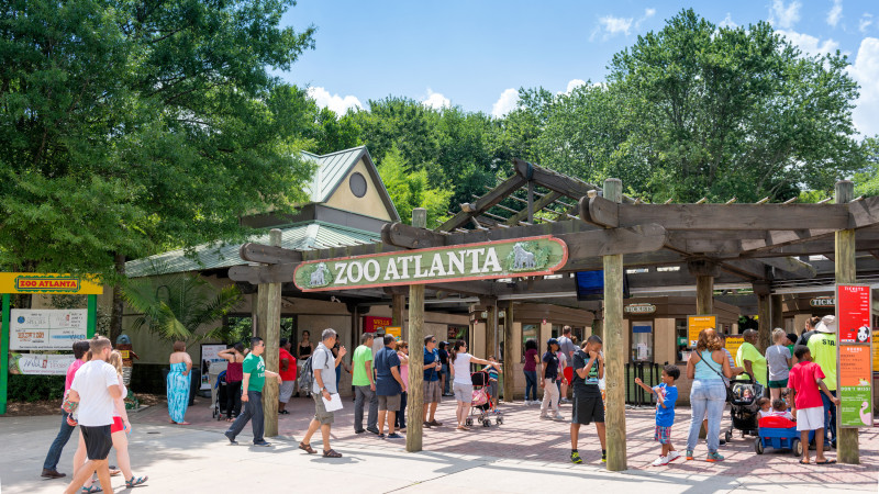 15 Best Attractions For Families In Atlanta Mommy Nearest