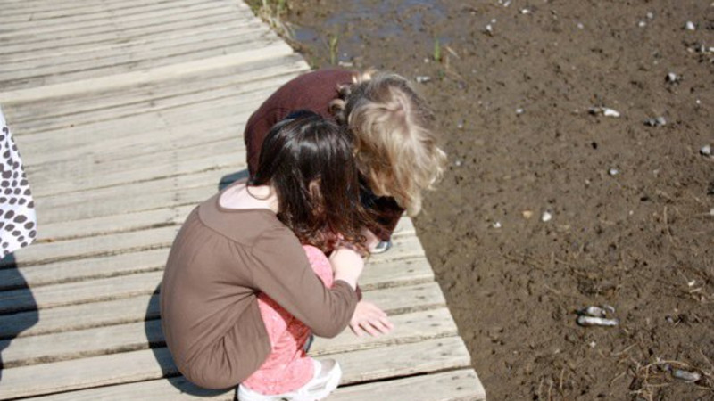 Boston Weekend Trip Idea: Wellfleet, MA - Mommy Nearest