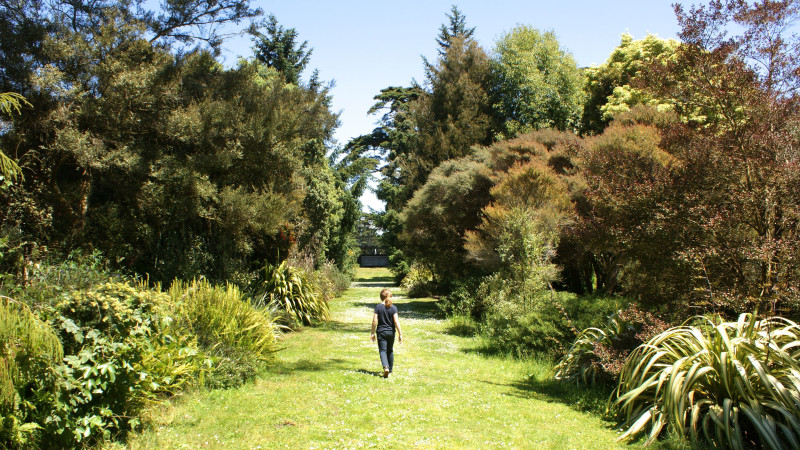 Must Do San Francisco Botanical Garden Mommy Nearest