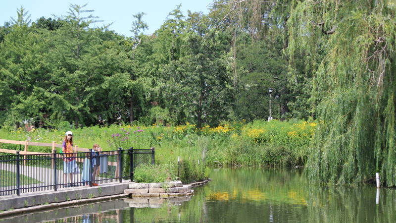 7 Best Picnic Spots For Families In Chicago Mommy Nearest