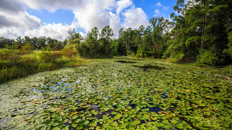 15 Best Attractions for Families in Houston - Mommy Nearest