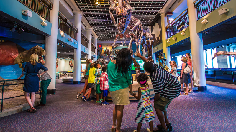 15 Best Attractions for Families in Philadelphia - Mommy Nearest