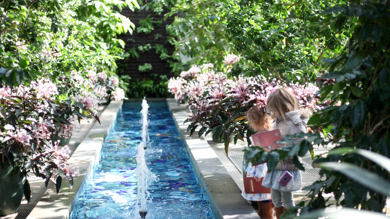 Family Guide To The United States Botanic Garden In D C Mommy