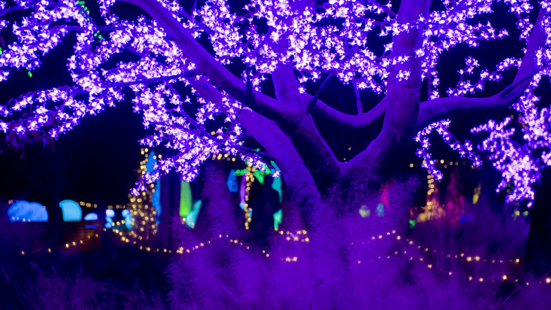 Holiday Light Show Returns To Atlanta Botanical Garden Mommy Nearest