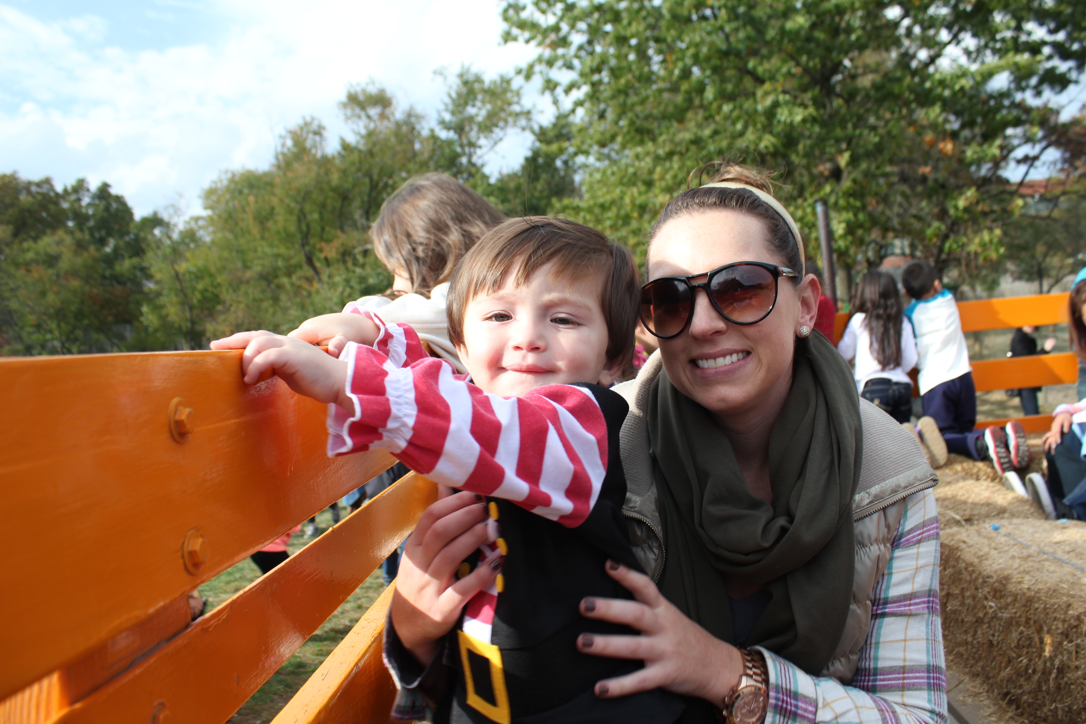 pumpkin picking nyc