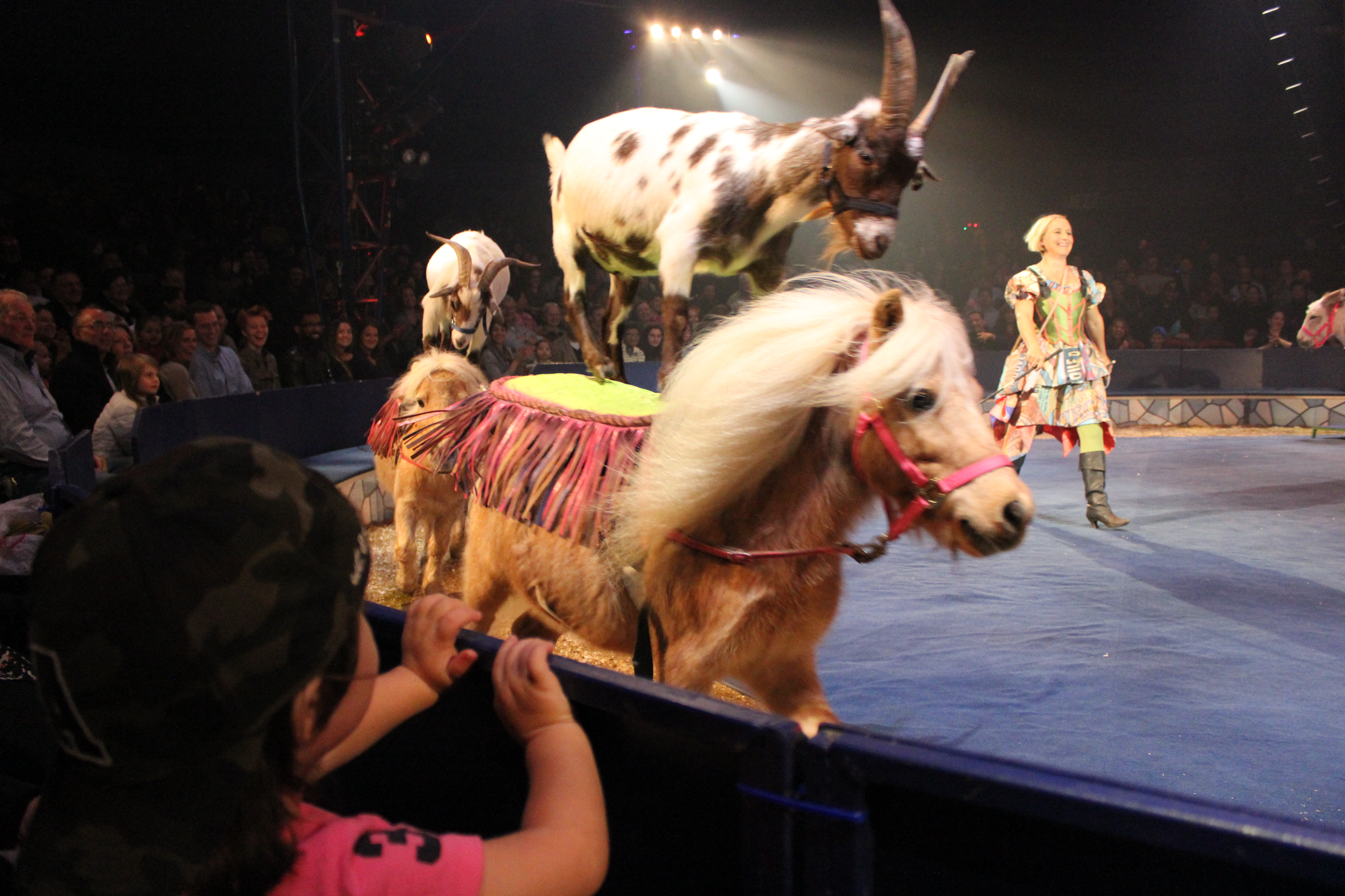 big apple circus