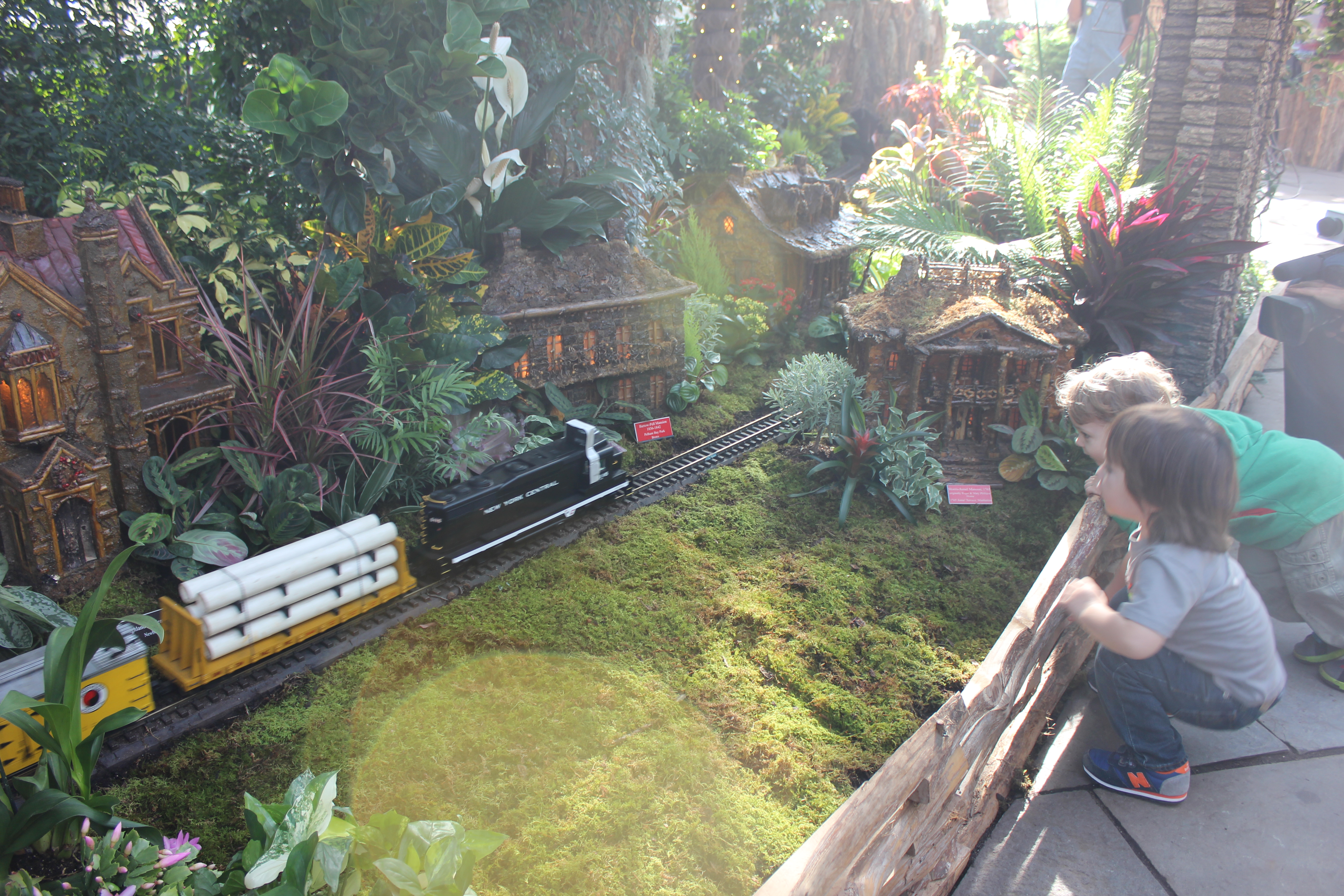 holiday train show