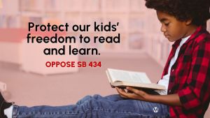 <a href="https://action.momsrising.org/cms/view_by_page_id/56743/?source=action">NH: A third attempt at a book ban...</a>