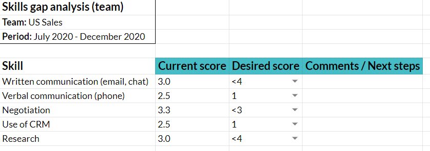 An example of a simple excel-style template to use for auditing skills gaps.