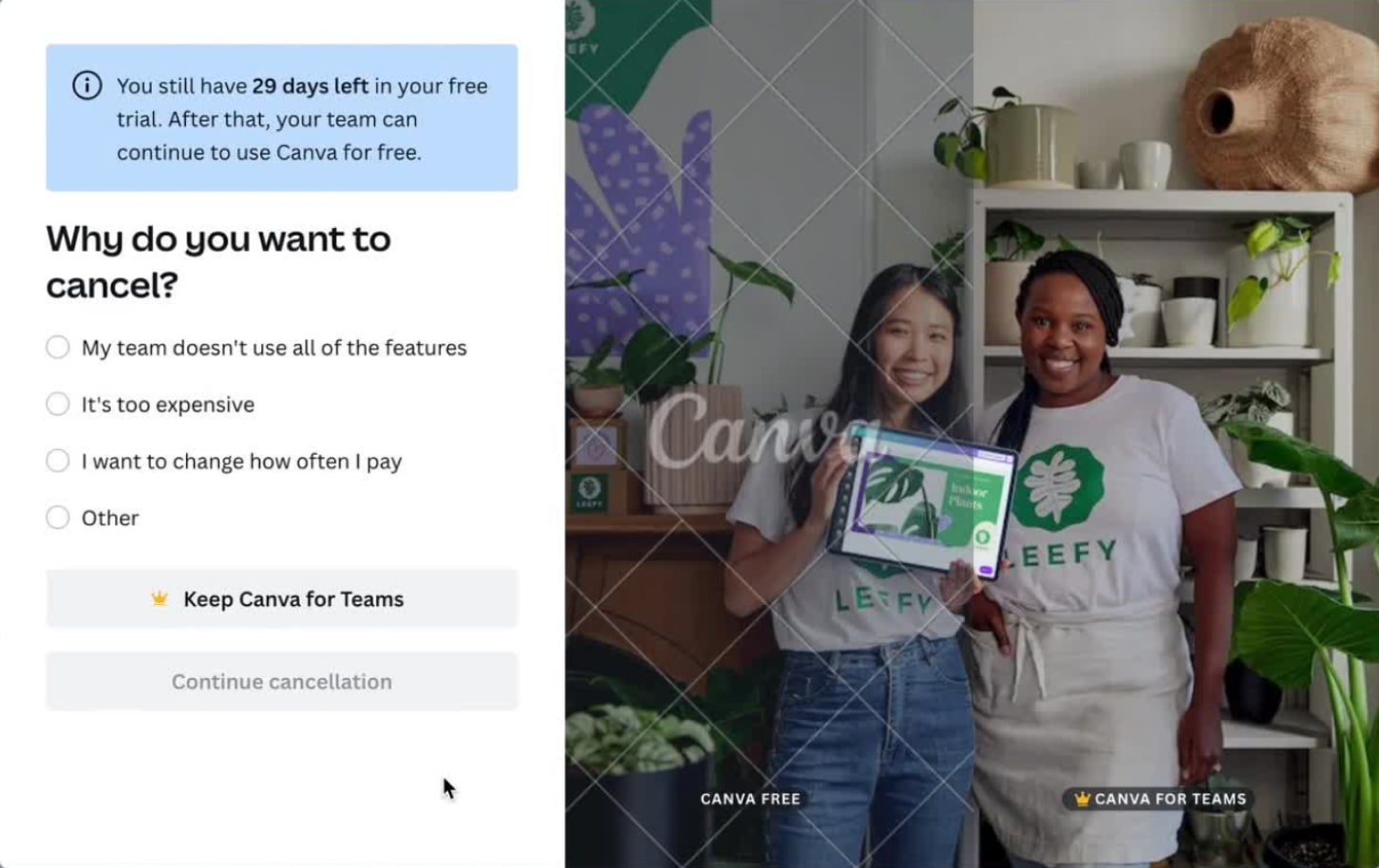 canva exit survey