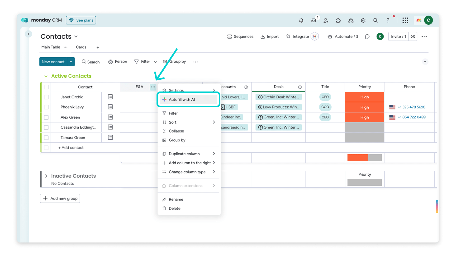 crm ai fields