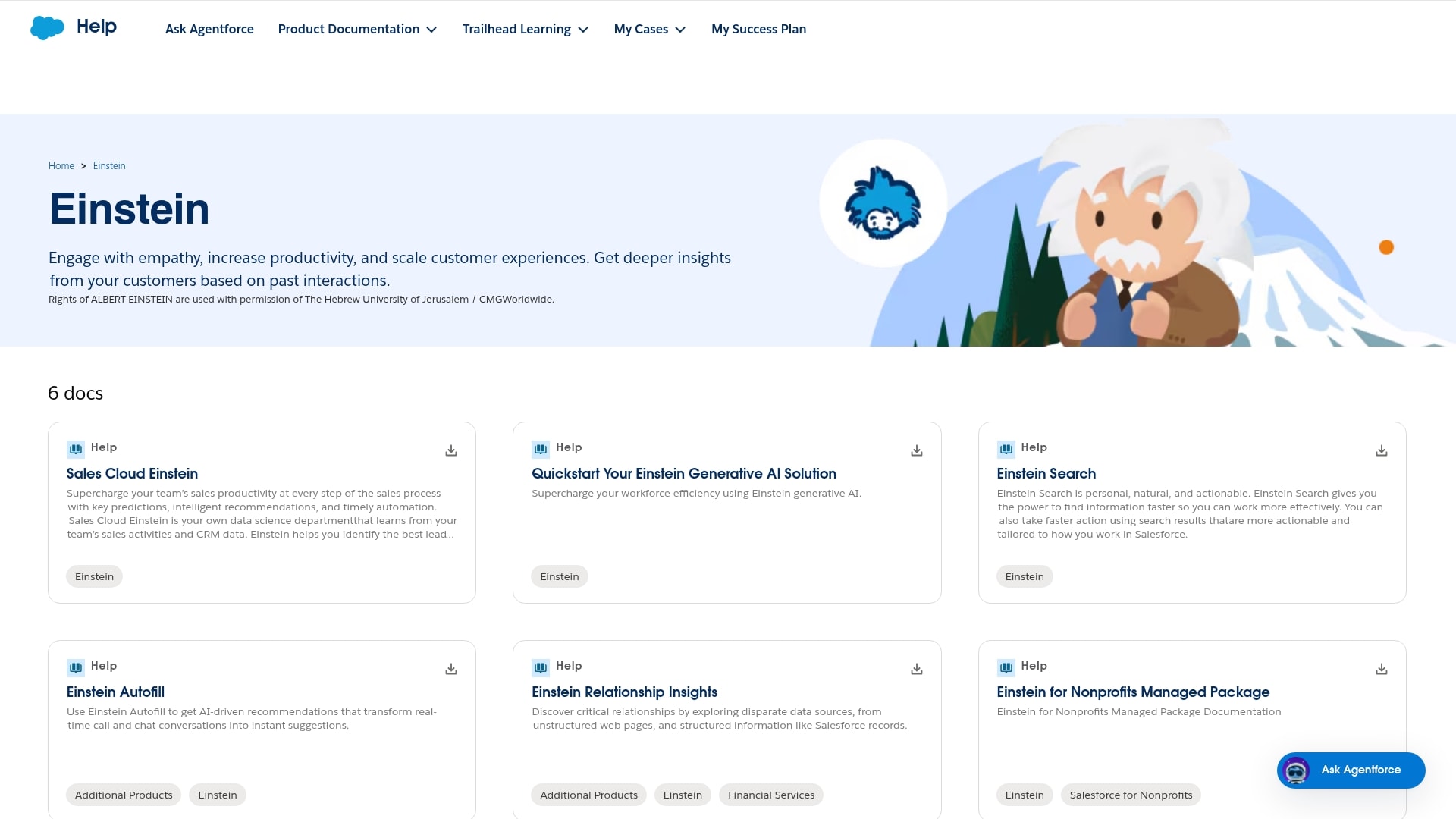 Salesforce Einstein ai 기능
