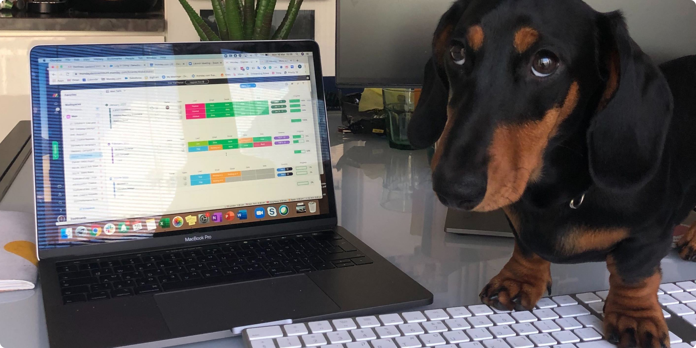 Todos en monday.com estamos haciendo Home Office