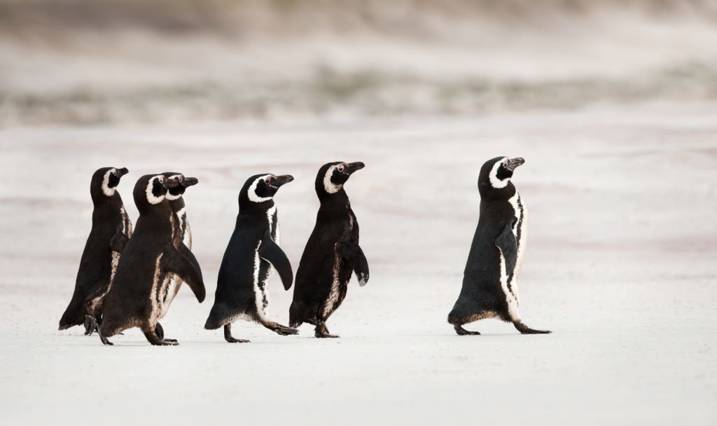 The marketing manager skills that matter – and one that sets you apart
