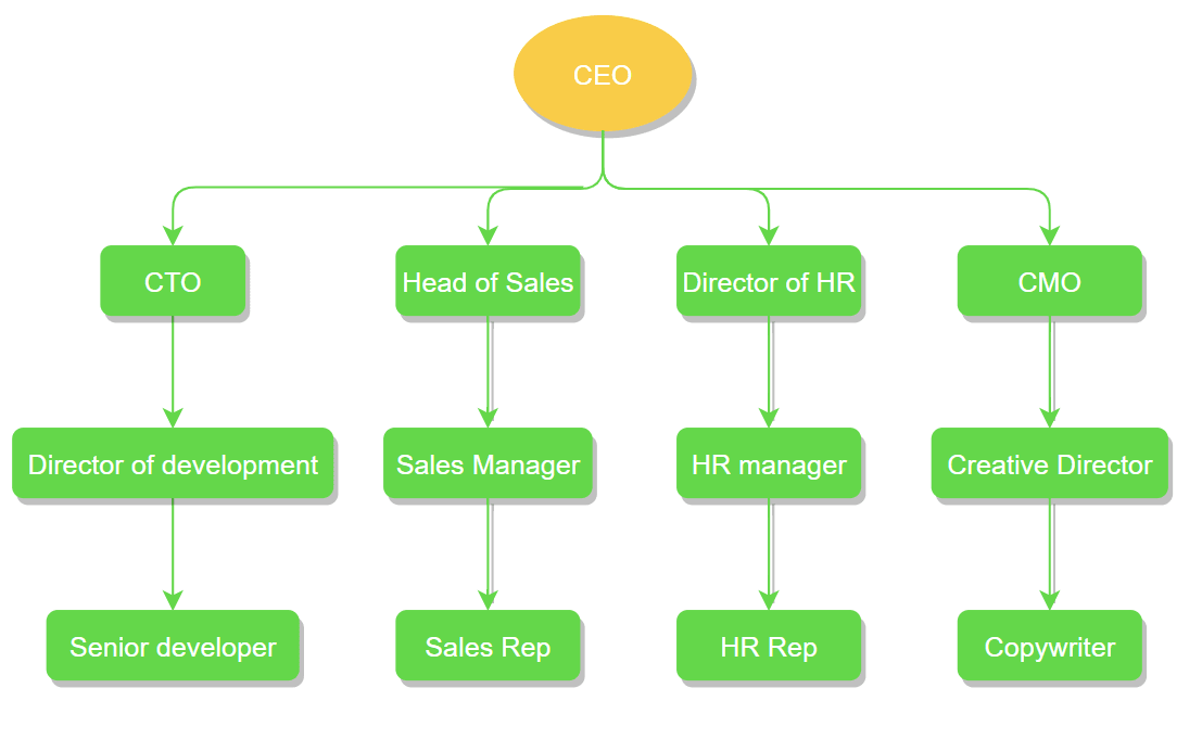 Traditional company structure diagram